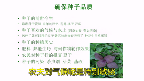 13自然农法研习营许素桂 自家留种.mp4