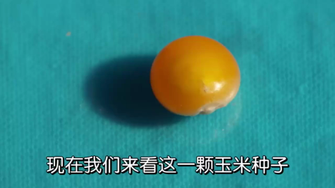 2宇宙最伟大的力量——大爱!.mp4
