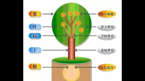 微信图片_20190616154418.jpg