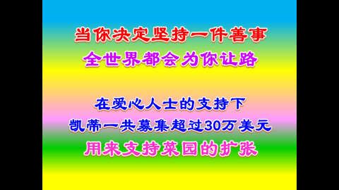 菜园改变世界 (23).JPG