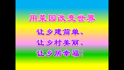 菜园改变世界 (32).JPG