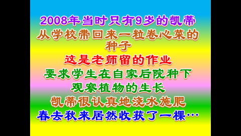 菜园改变世界 (4).JPG