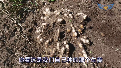 三十二集（3）.mp4