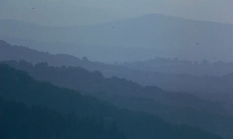 微观世界草丛里的居民BD（觉醒与蜕变）.mp4