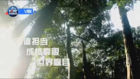 习主席与世界的绿色约定.mp4