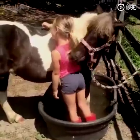 超越物种的爱.mp4