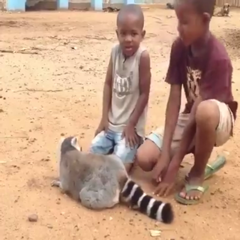 170125 動物請小孩按摩.MP4