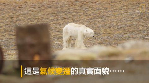 171220 全球暖化北极熊快饿死了(2分).mp4