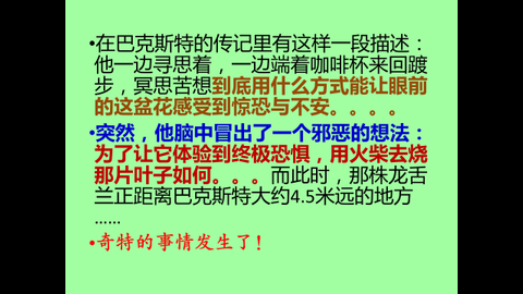 投影片10.JPG