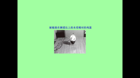 投影片31.JPG
