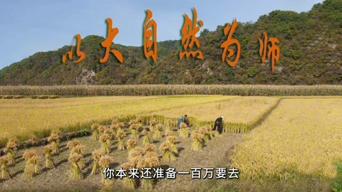 11 以大自然为师(2)-生命中最重要的元素.mp4