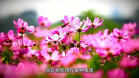 15 经典与实相的关系.mp4
