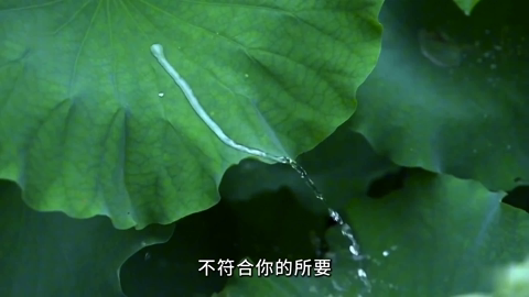 16 找到真正生命的源头与之合一.mp4