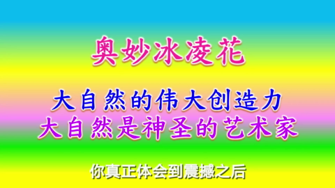 201218 奥妙冰凌花(简体中文).mp4